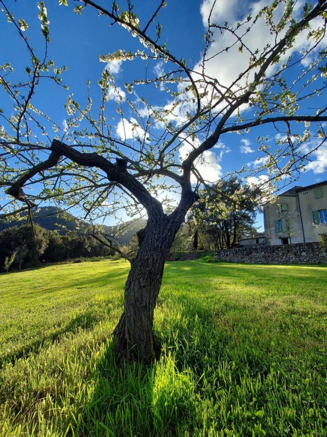 Les Jardins De Falguiere Saint-Jean-du-Gard Ngoại thất bức ảnh