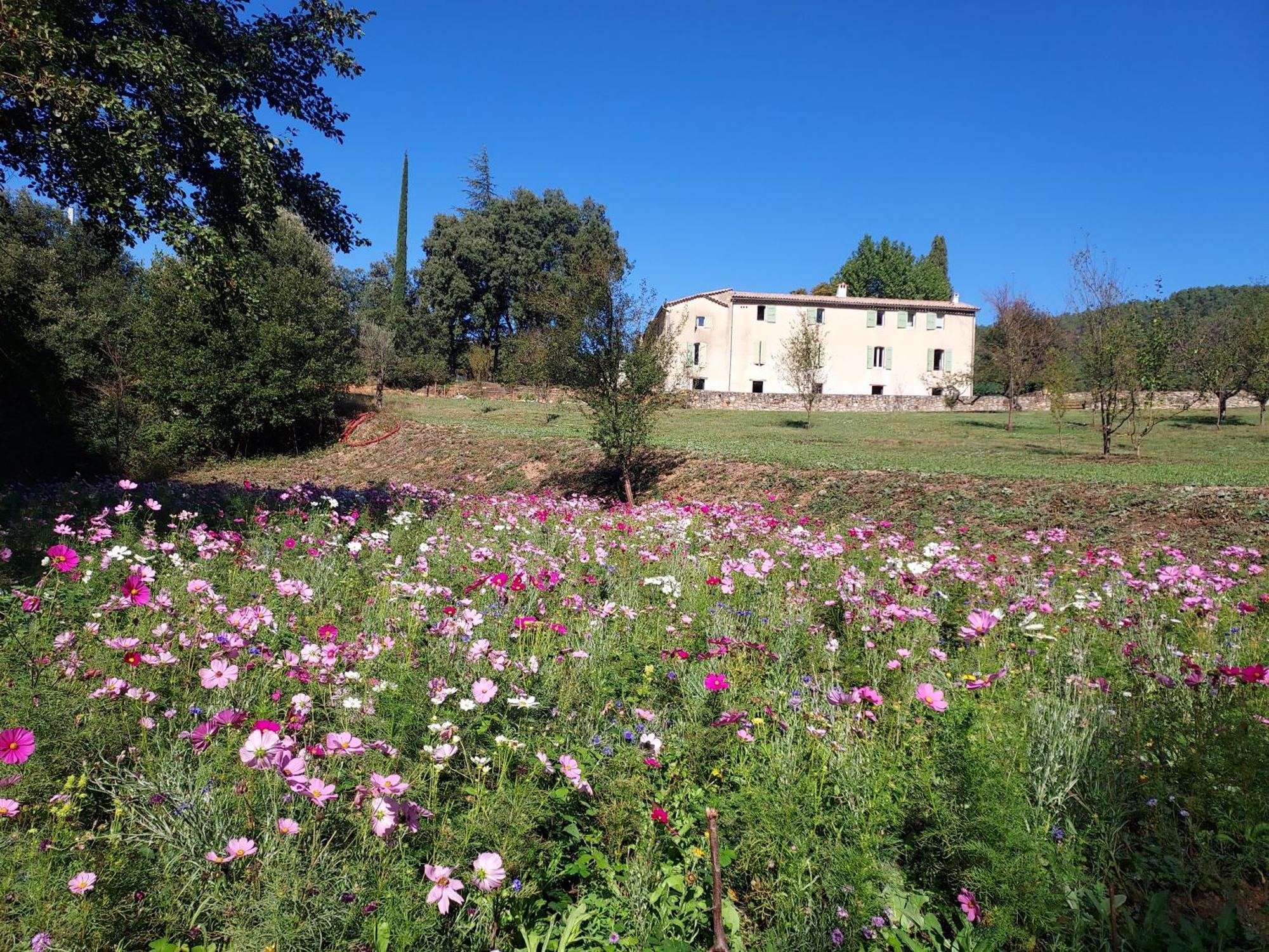 Les Jardins De Falguiere Saint-Jean-du-Gard Ngoại thất bức ảnh